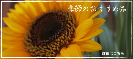 巽楽 季節のおすすめ品