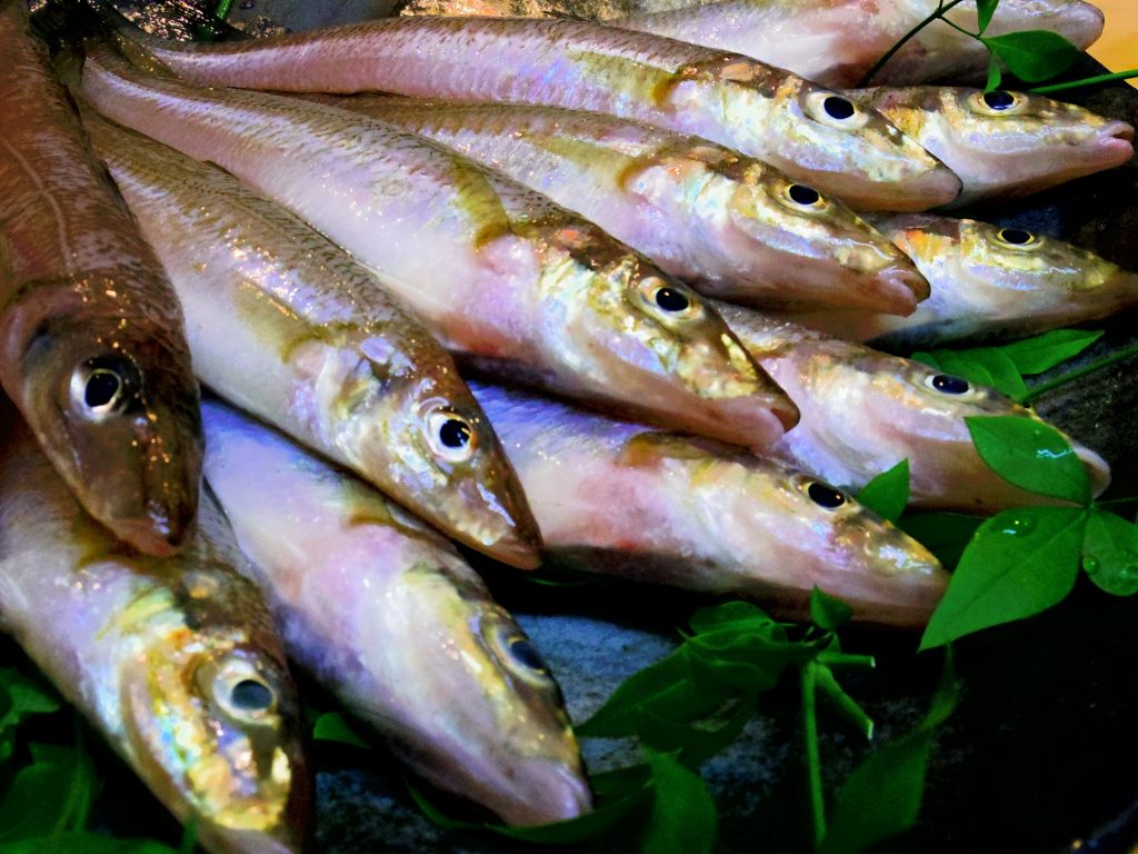 キスの天ぷら 食菜房 巽楽 せんらく